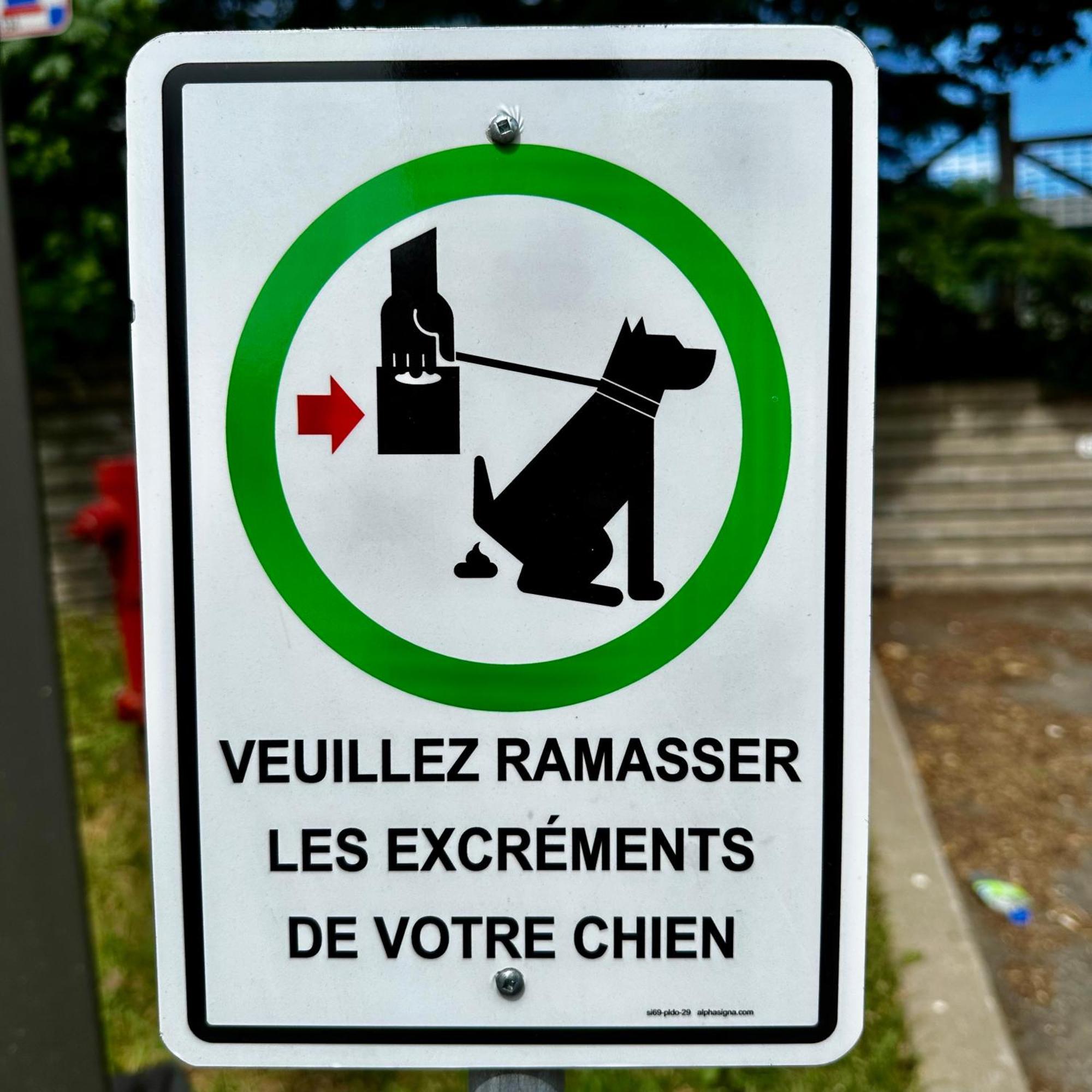 Initial - Moose - Chutes-Montmorency Saint-Jean-de-Boischâtel Extérieur photo